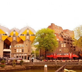 Архитектурните чудеса на Ротердам