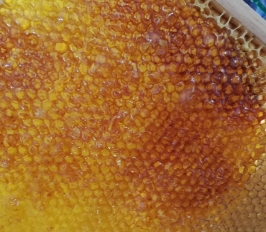 За какво е полезен полезният мед?